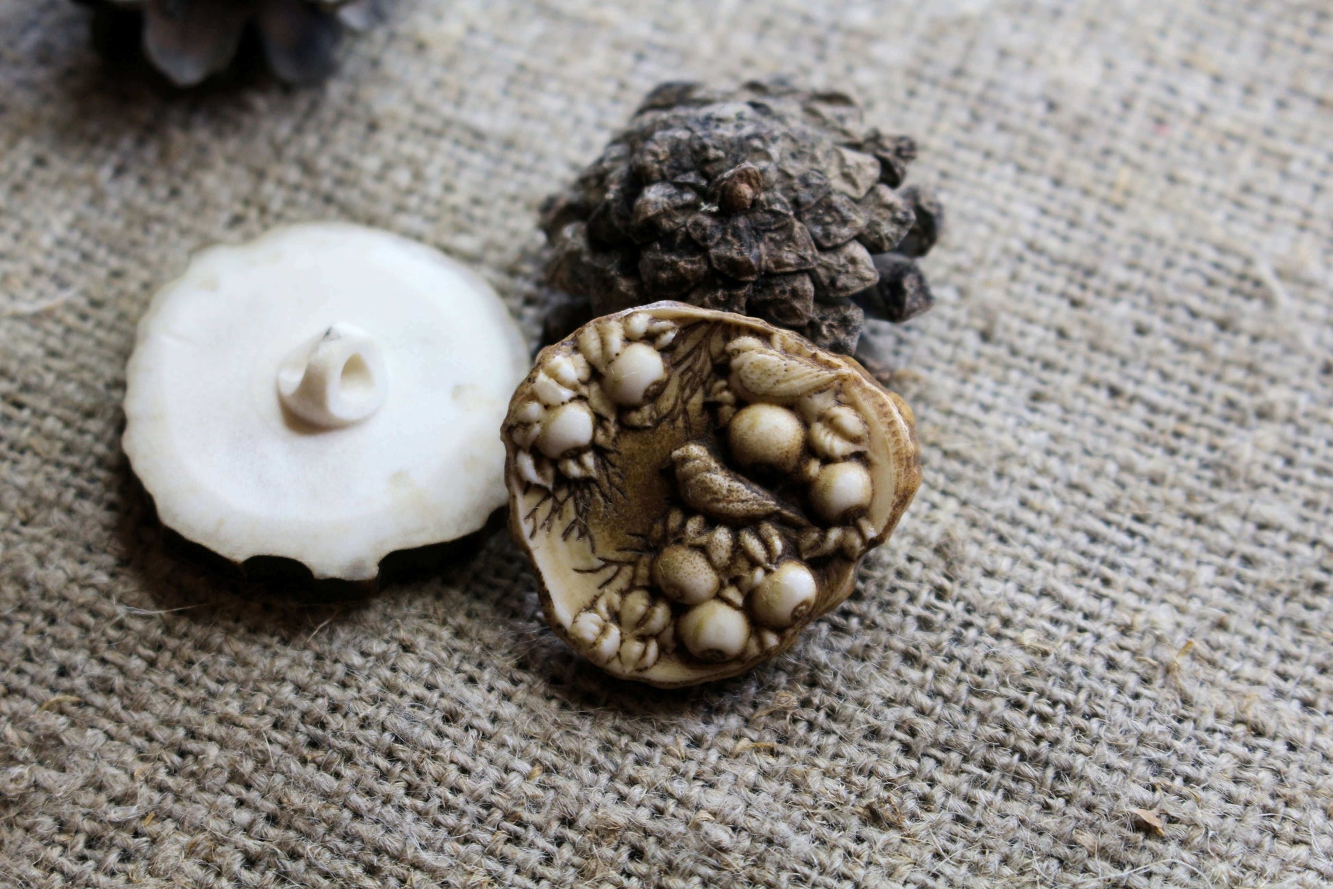 Rustic sewing buttons made from authentic deer antler