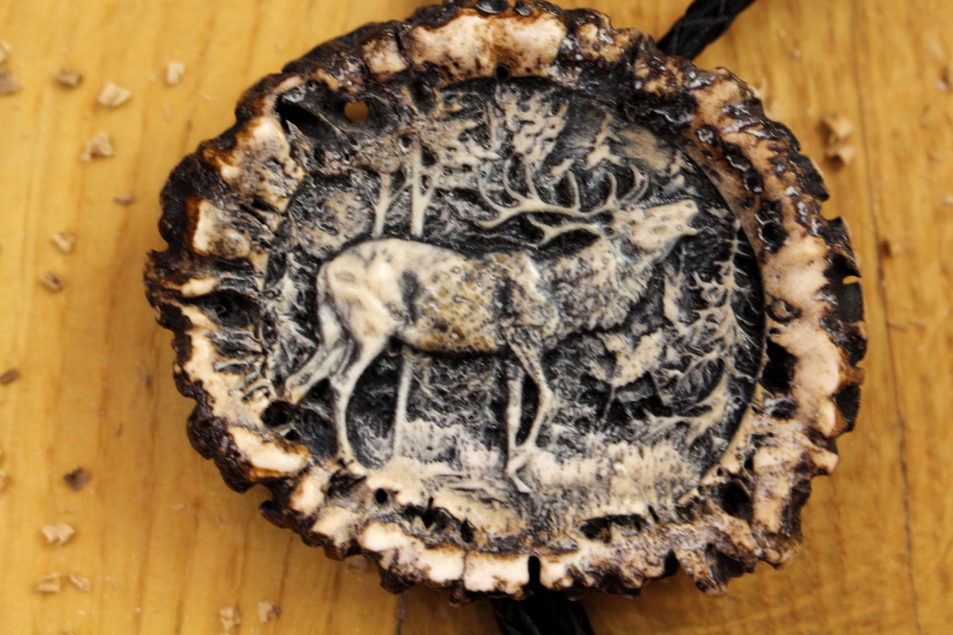 Close up of Bolo Tie design featuring Deer Roaring