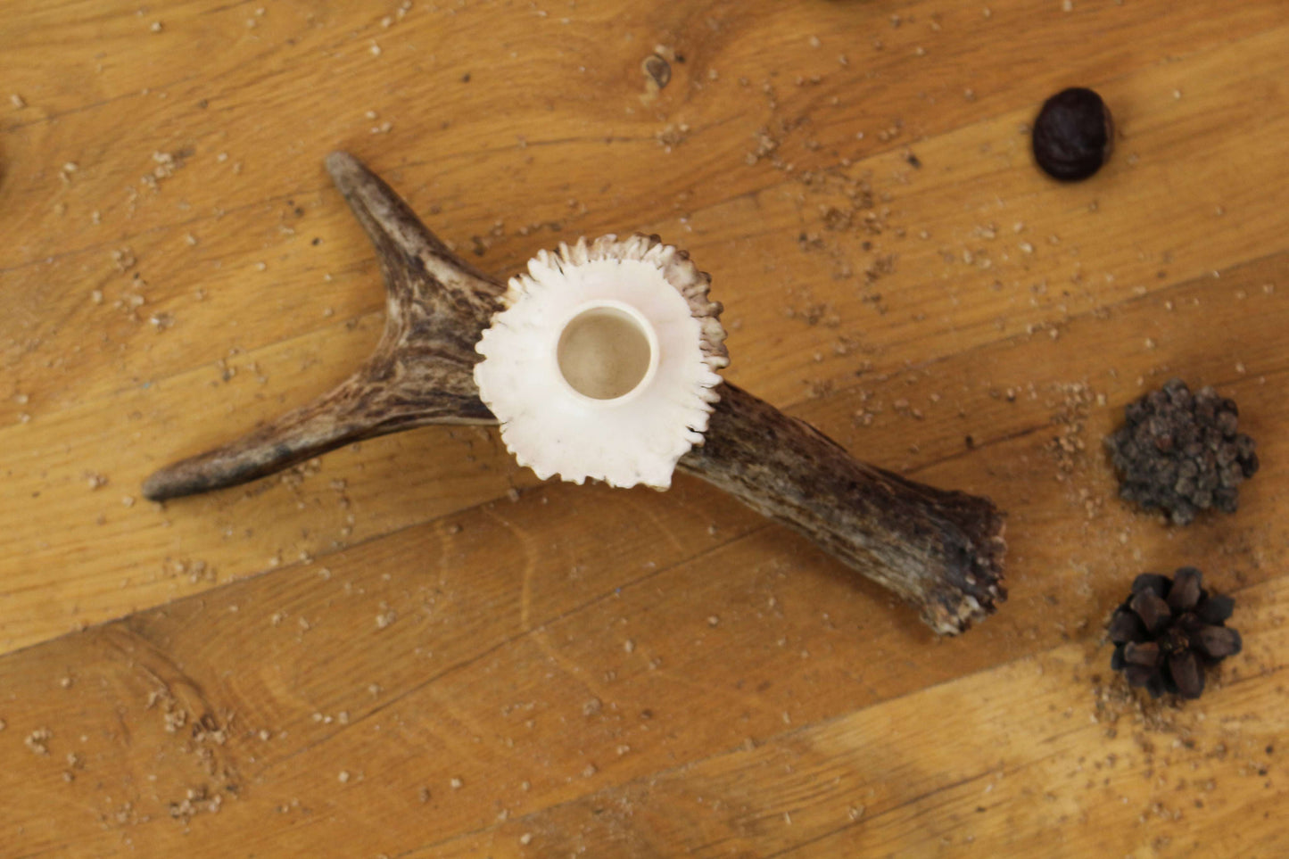 Simple Handmade Moose Antler Candlestick Holder