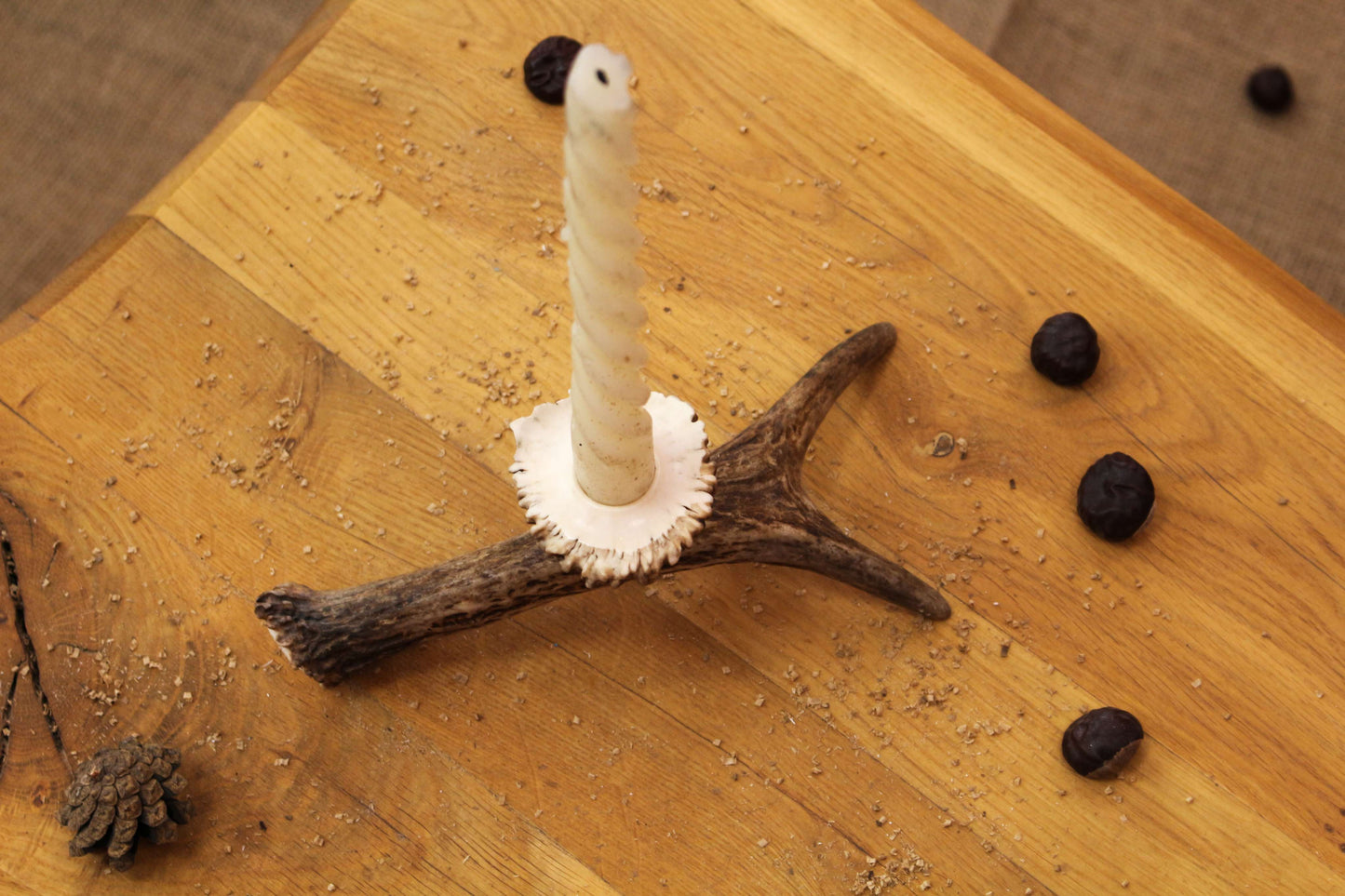 Simple Handmade Moose Antler Candlestick Holder