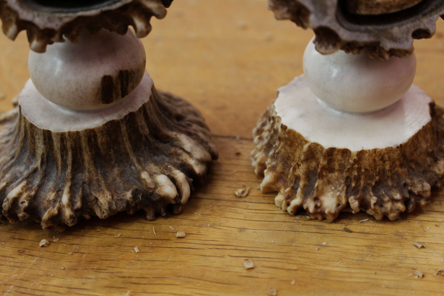 Unique Moose Antler Home Decor Piece