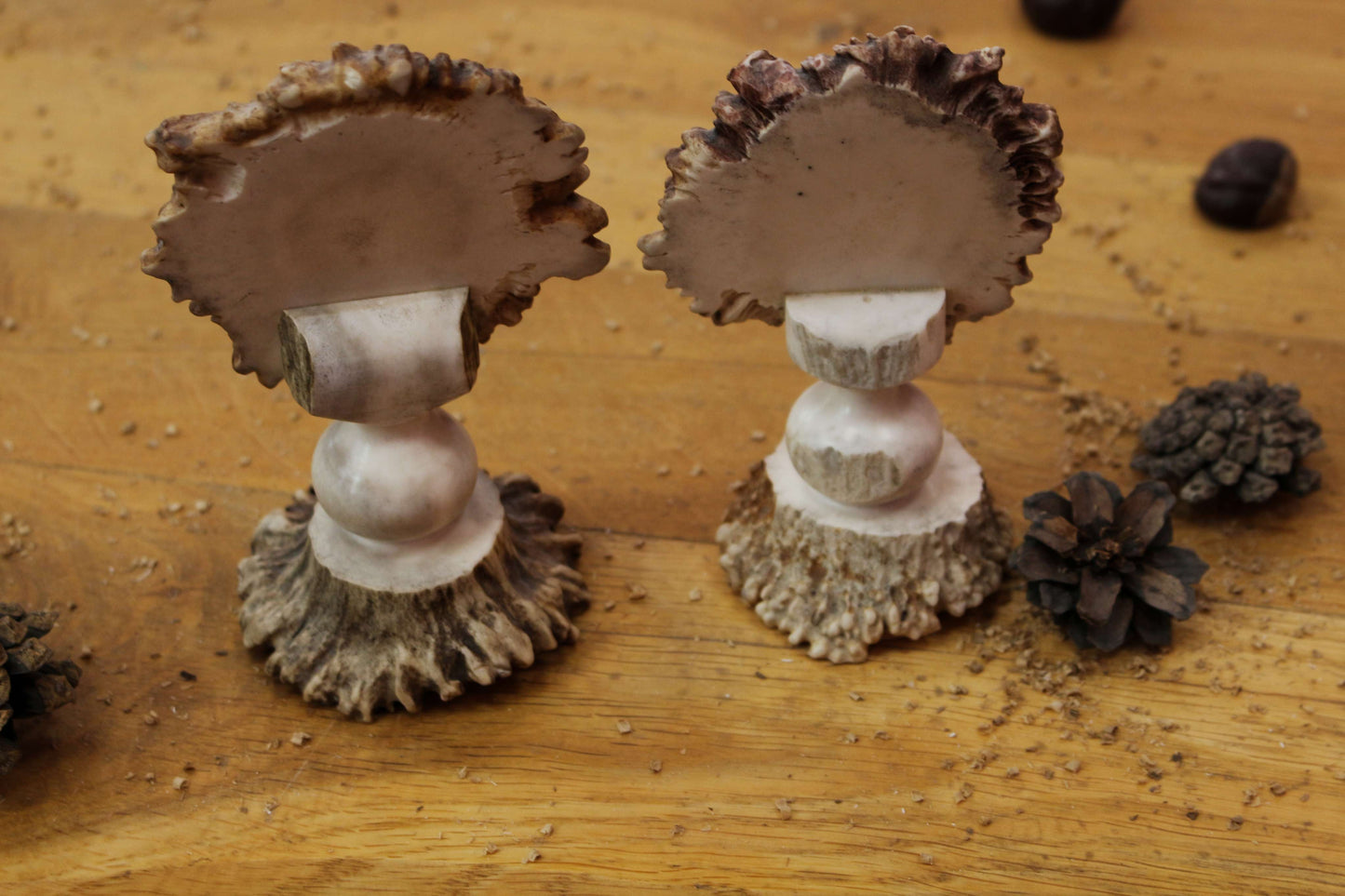 Unique Moose Antler Home Decor Piece