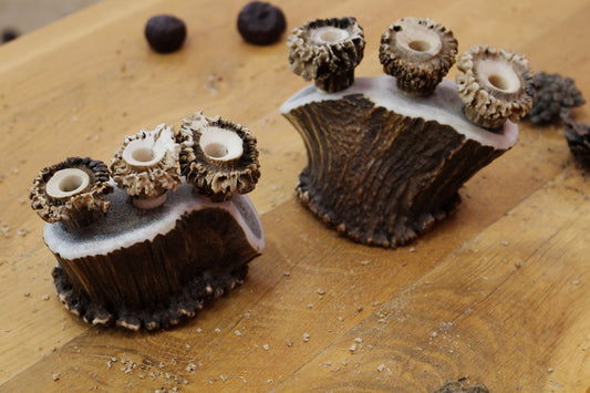 Unique Pen Holders, Handmade Antler Home Decor pieces