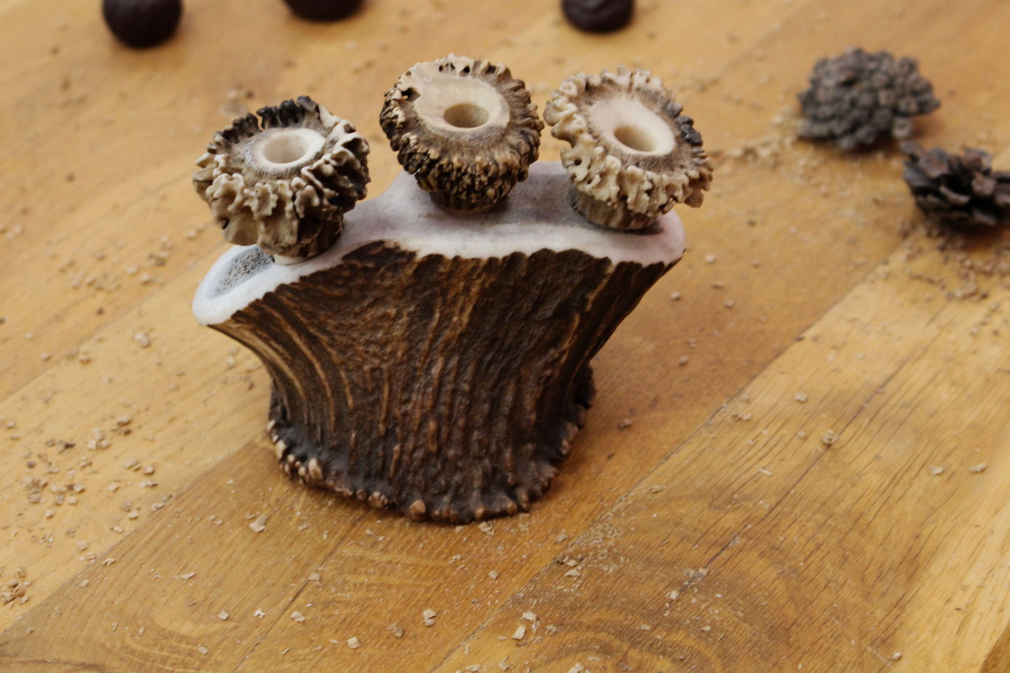 Unique Pen Holders, Handmade Antler Home Decor pieces