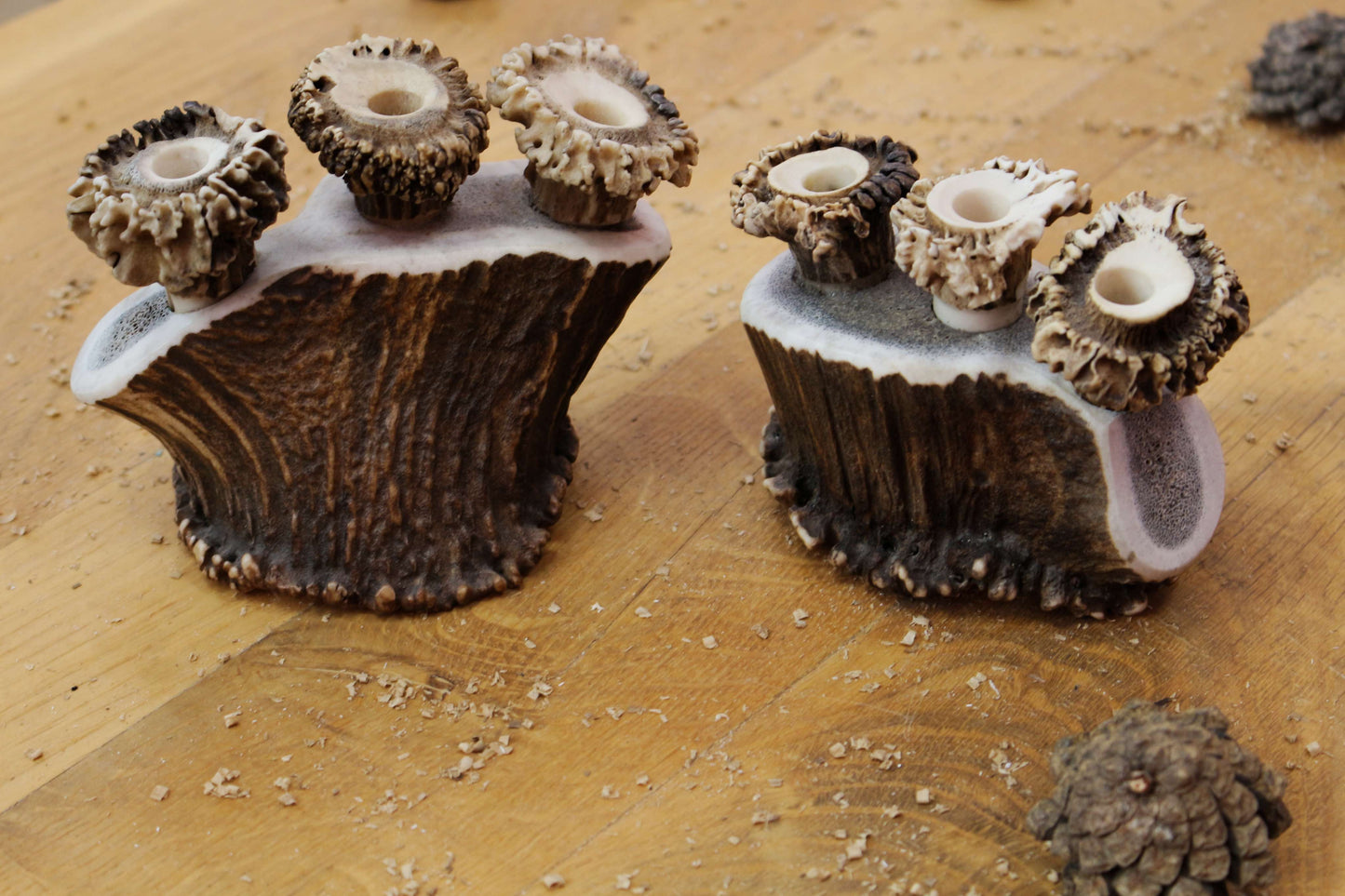 Unique Pen Holders, Handmade Antler Home Decor pieces