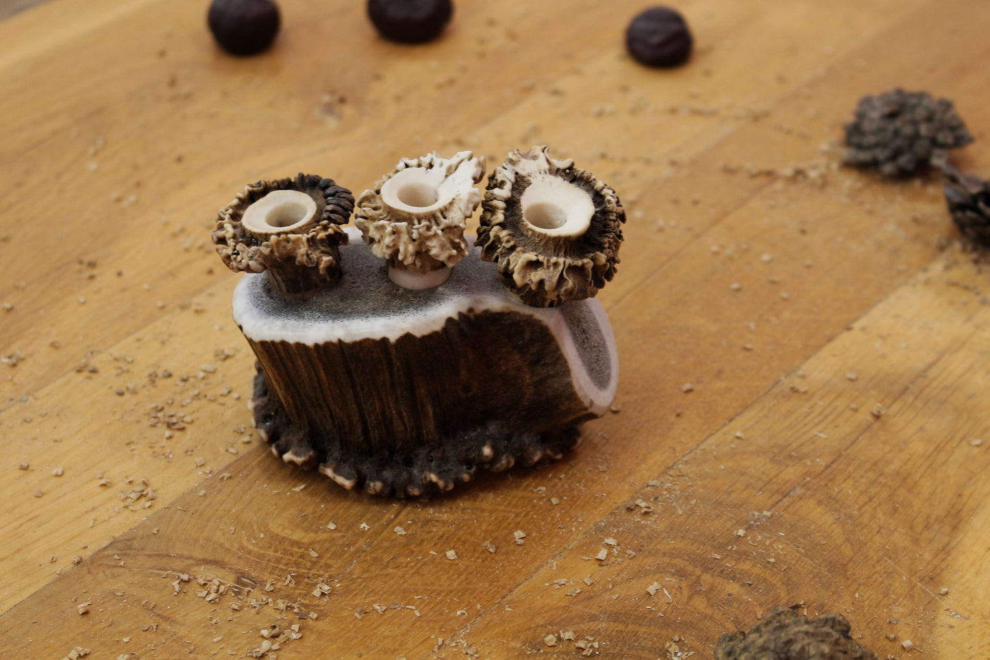 Unique Pen Holders, Handmade Antler Home Decor pieces