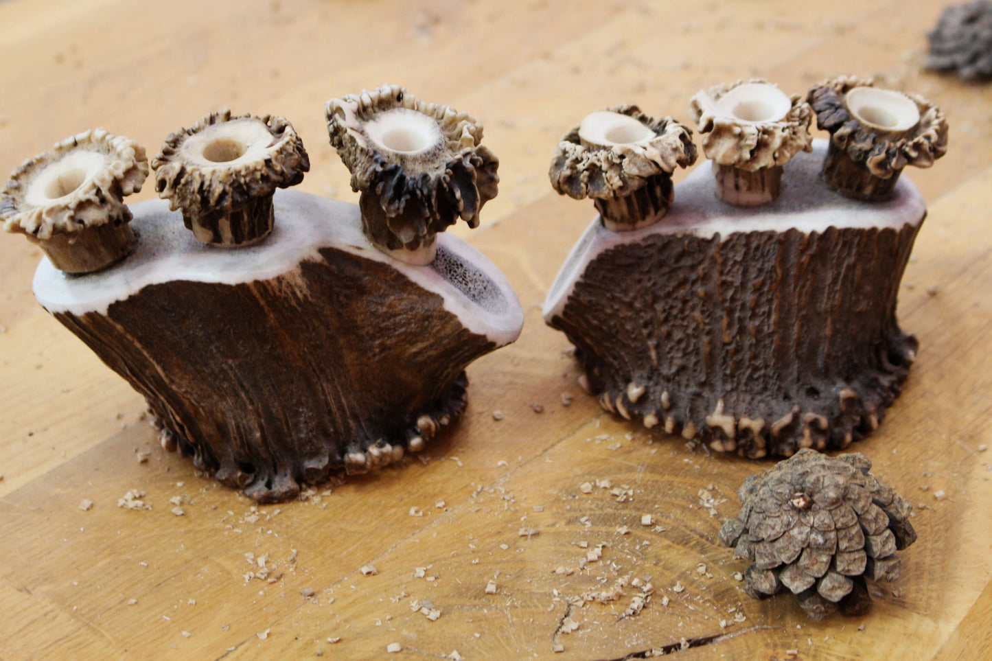 Unique Pen Holders, Handmade Antler Home Decor pieces