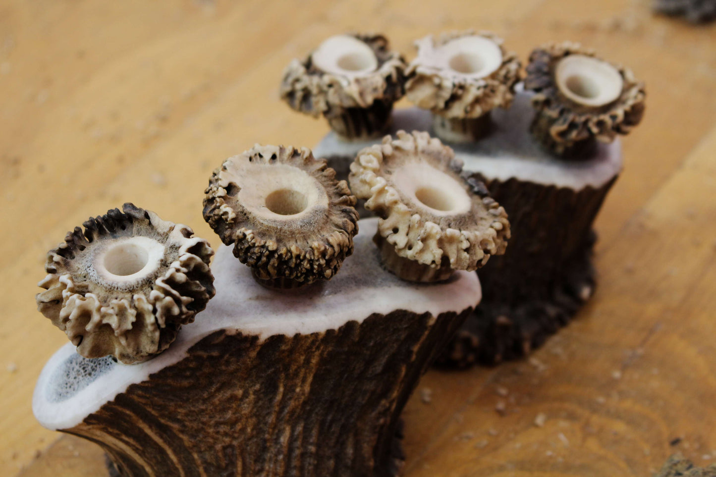 Unique Pen Holders, Handmade Antler Home Decor pieces