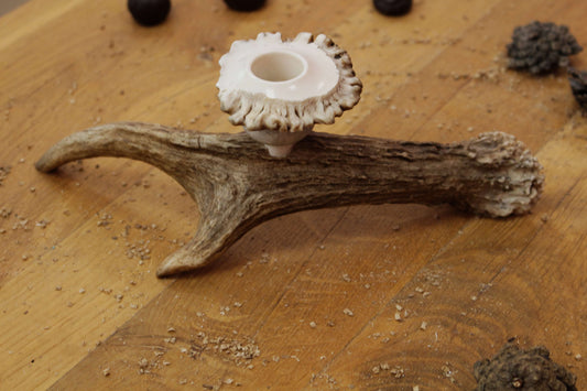 Moose Antler Candlestick Holder