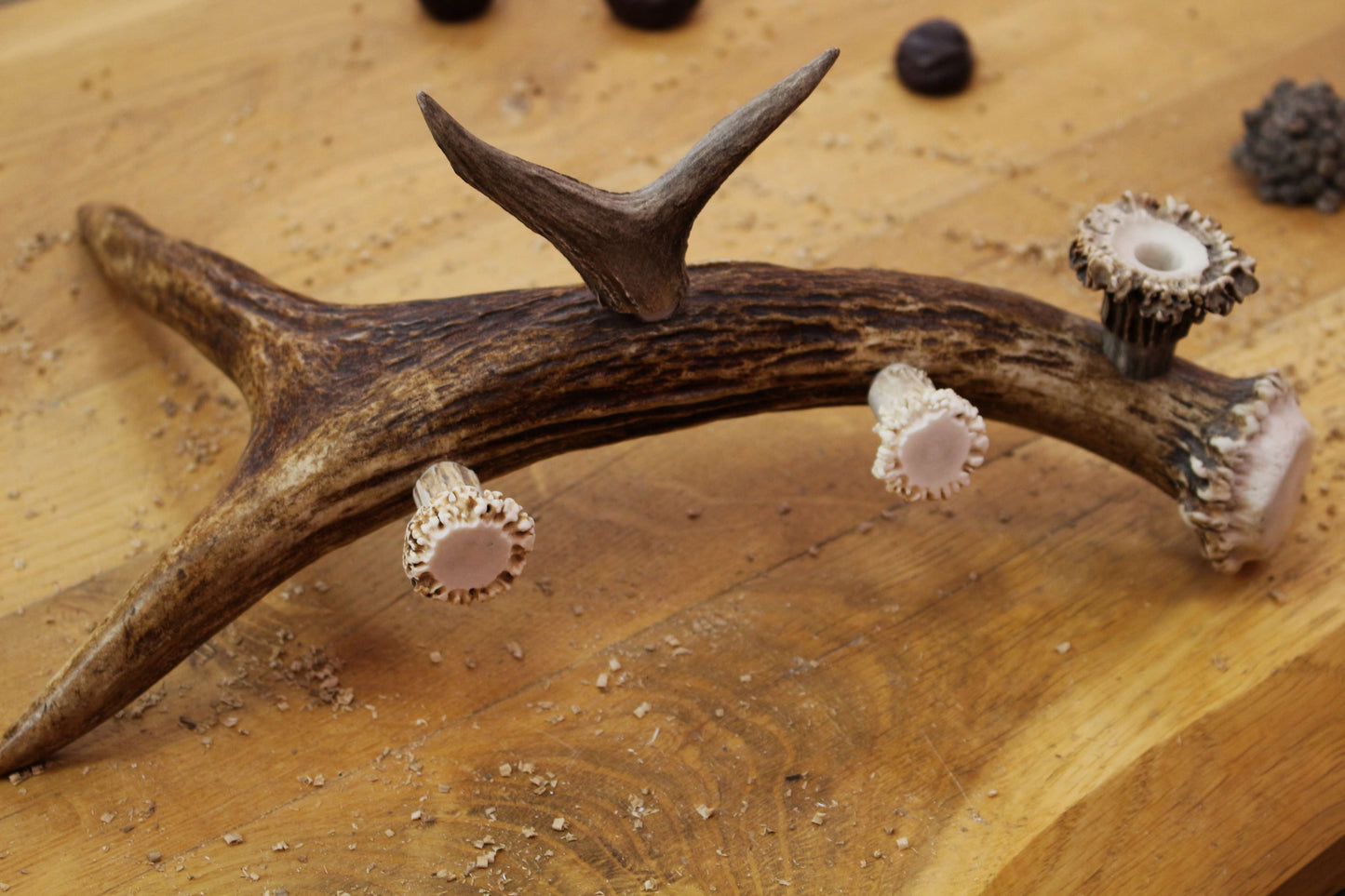 Handmade Moose Antler Phone stand