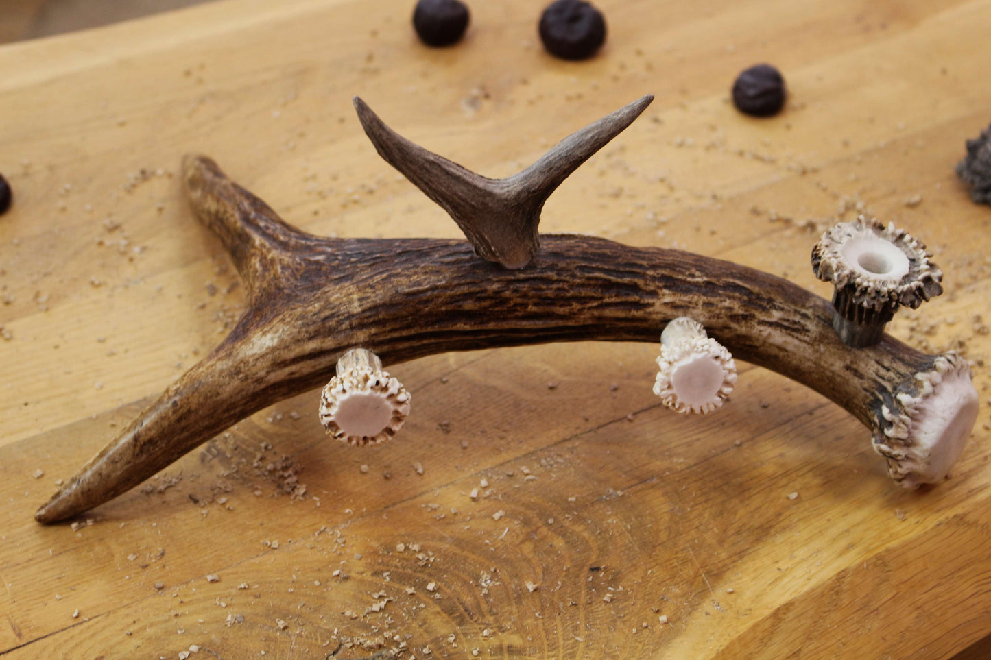 Handmade Moose Antler Phone stand