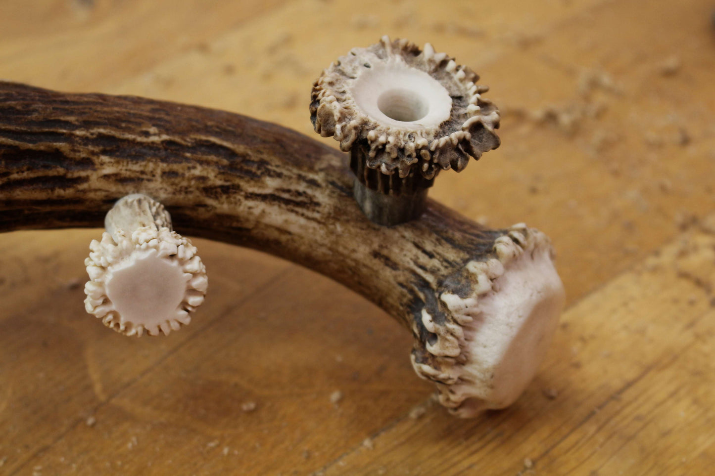 Handmade Moose Antler Phone stand
