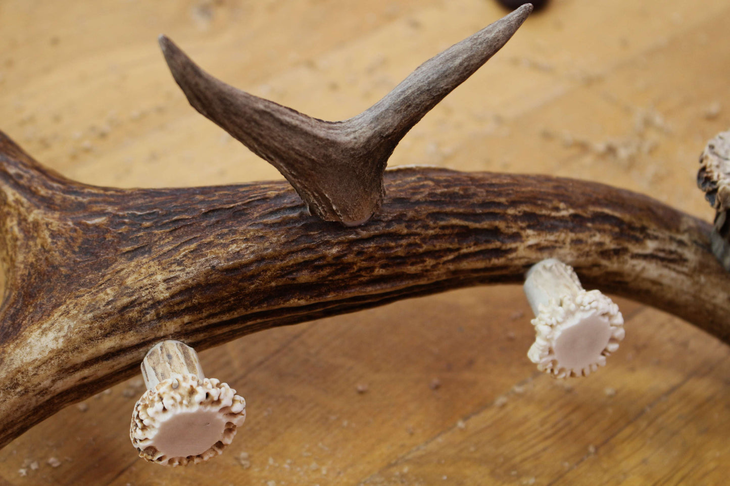 Handmade Moose Antler Phone stand