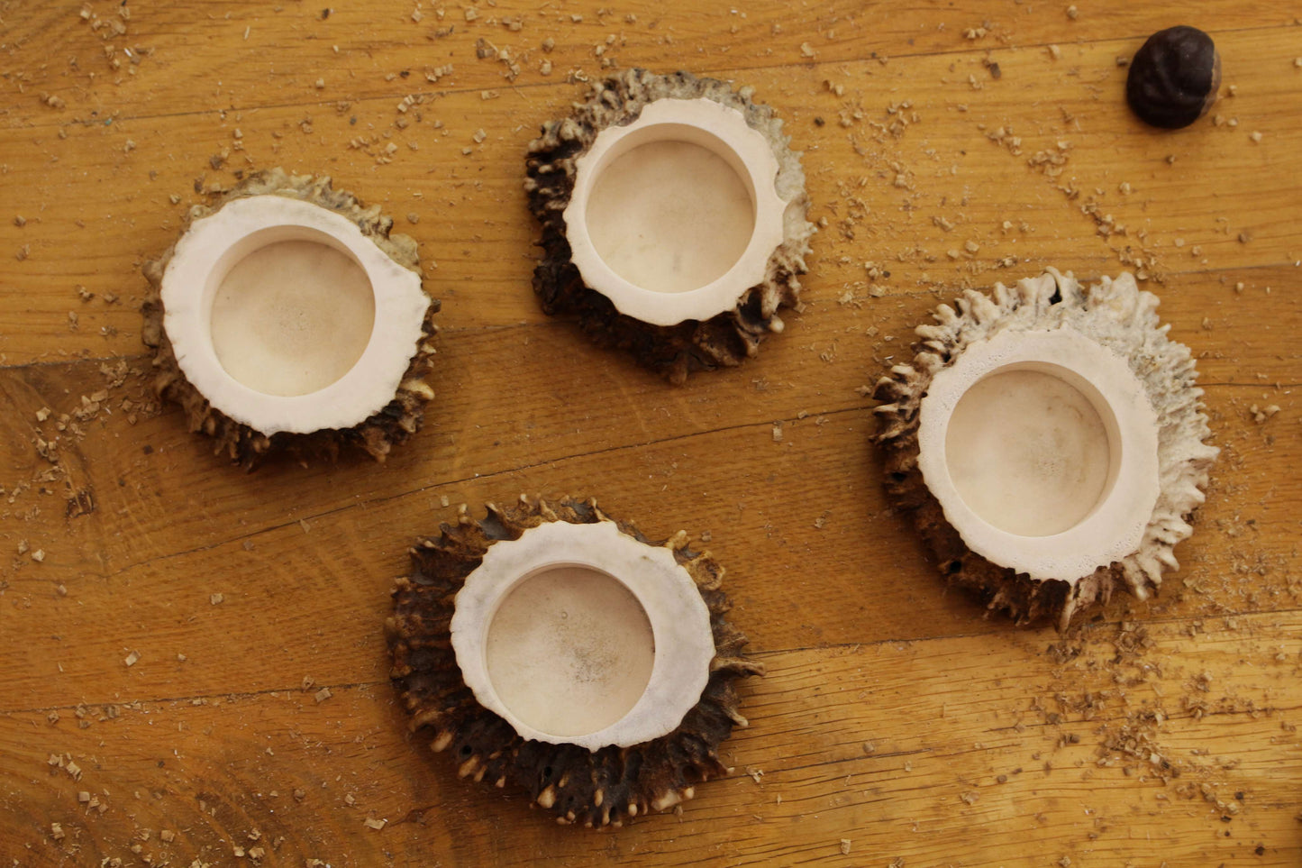 Simplistic Deer Antler Candle Holders | Smaller models