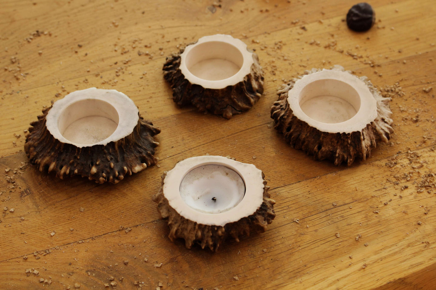 Simplistic Deer Antler Candle Holders | Smaller models