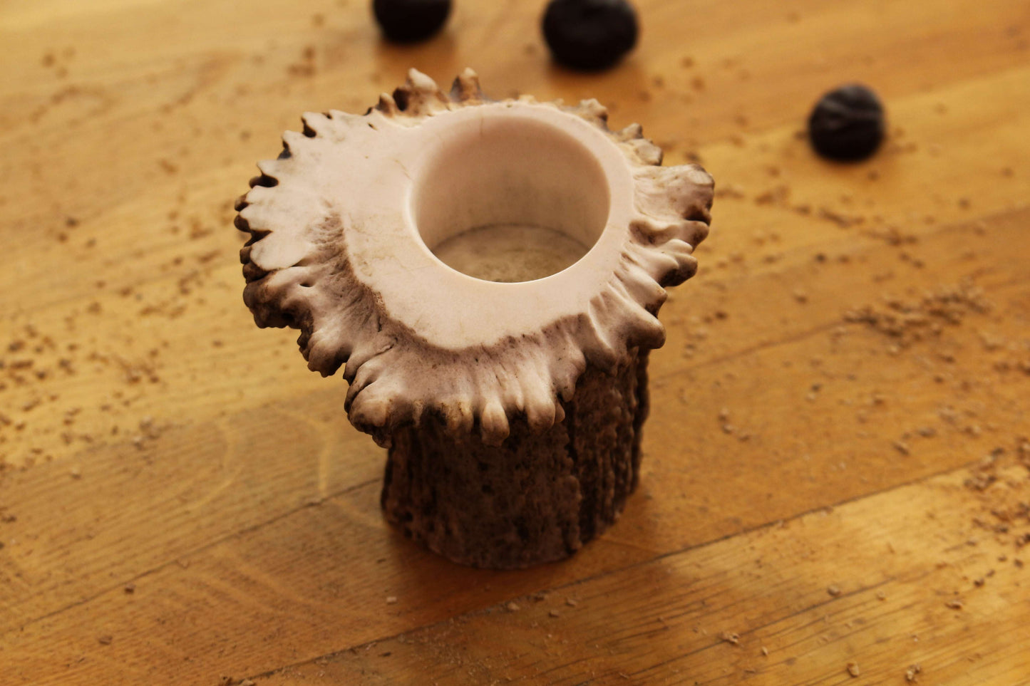 Simplistic Moose Antler Candleholder