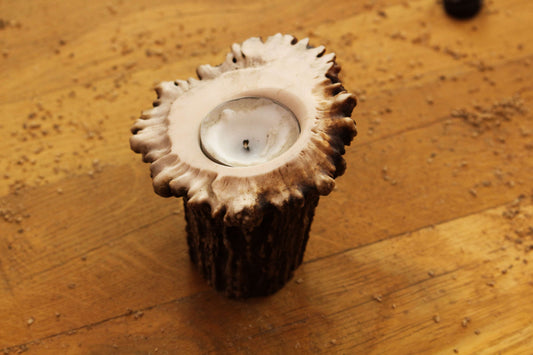 Simplistic Moose Antler Candleholder