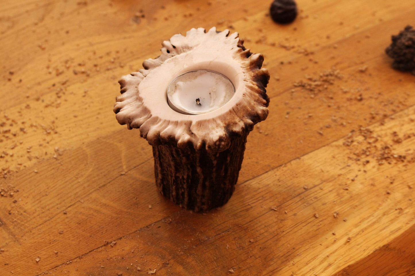 Simplistic Moose Antler Candleholder