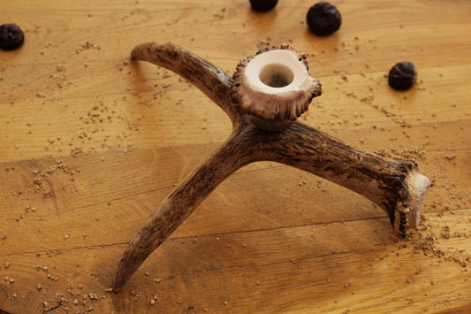 Simple Moose Antler Candlestick Hold