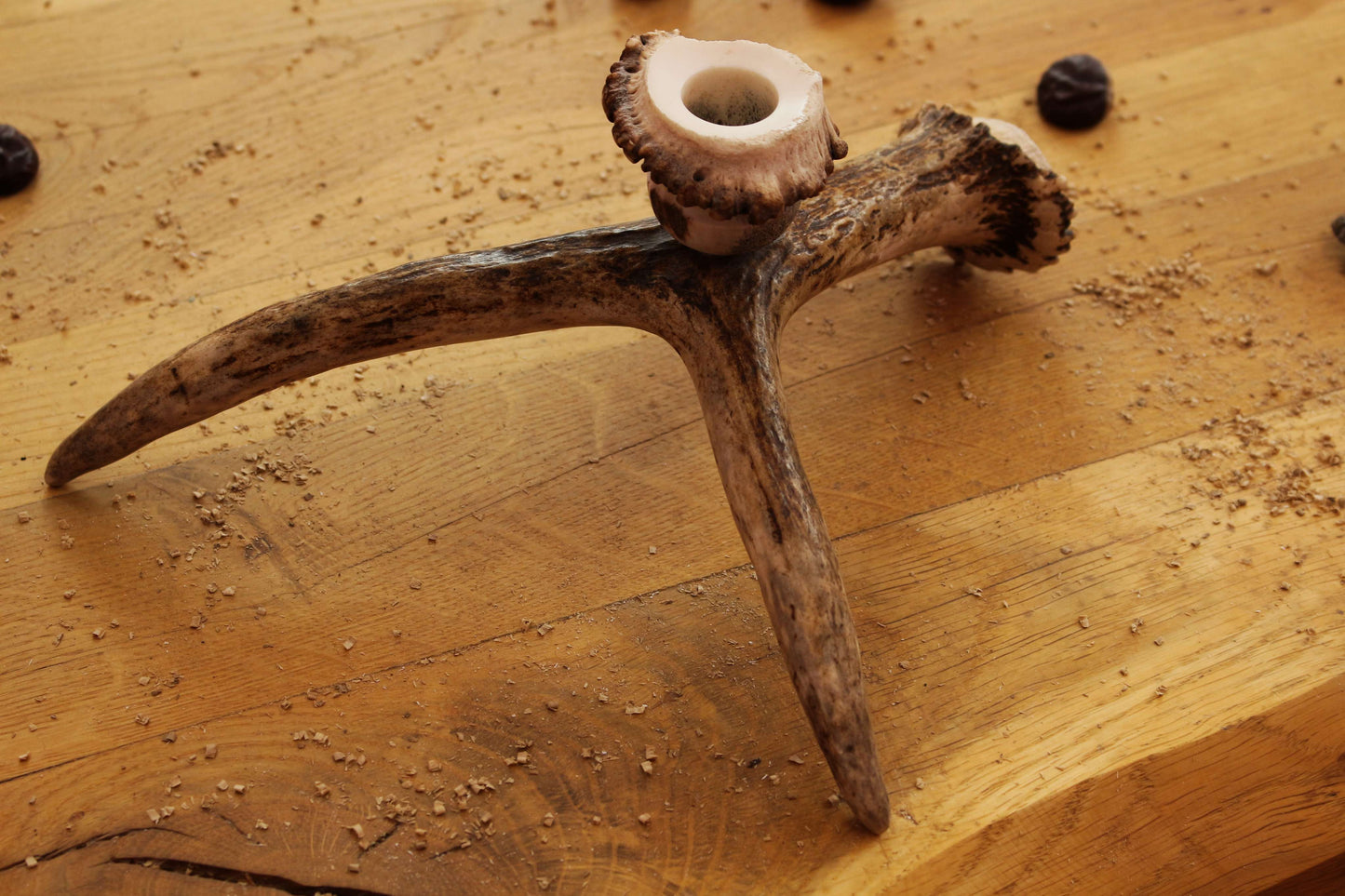 Simple Moose Antler Candlestick Hold