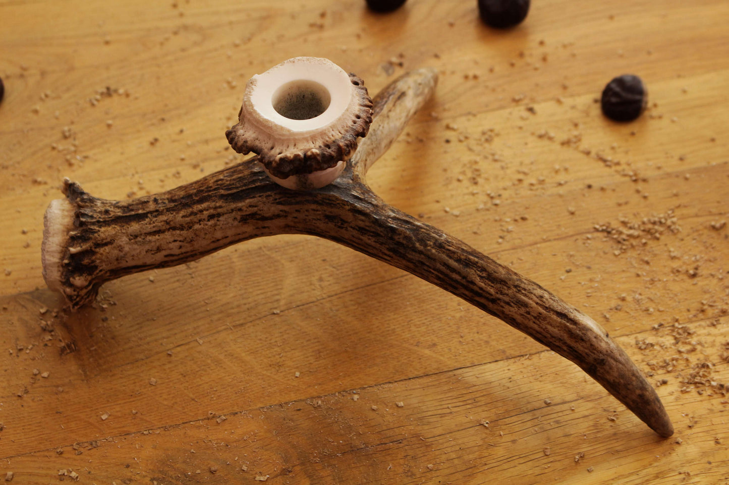 Simple Moose Antler Candlestick Hold