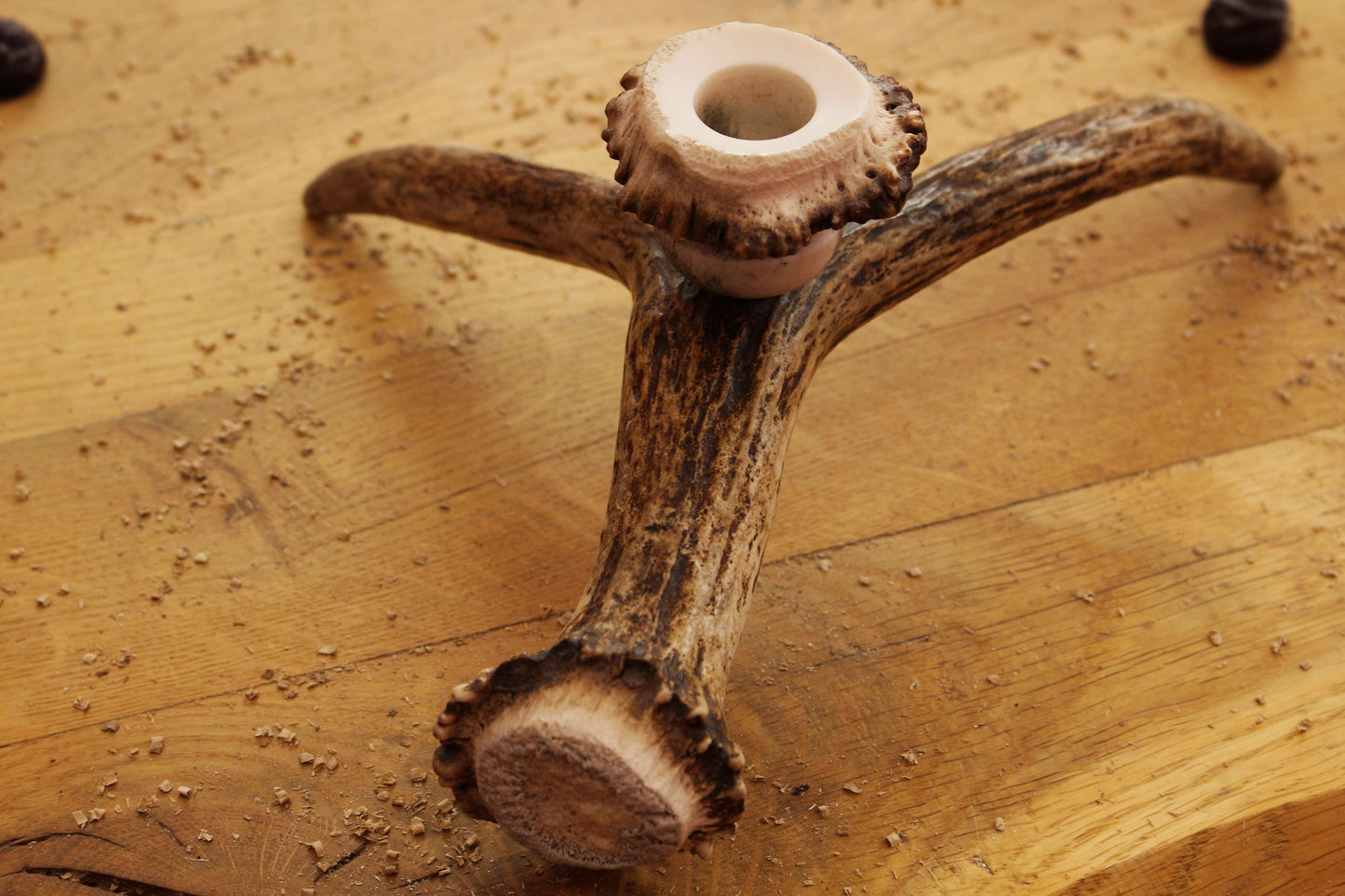 Simple Moose Antler Candlestick Hold