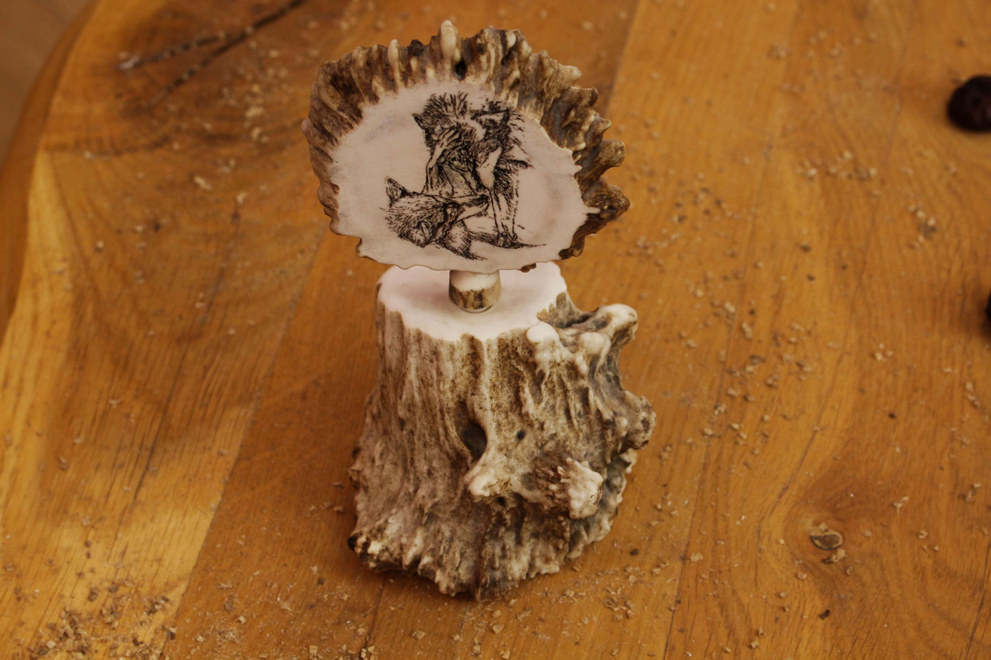 Unique Antler Home Decoration Piece