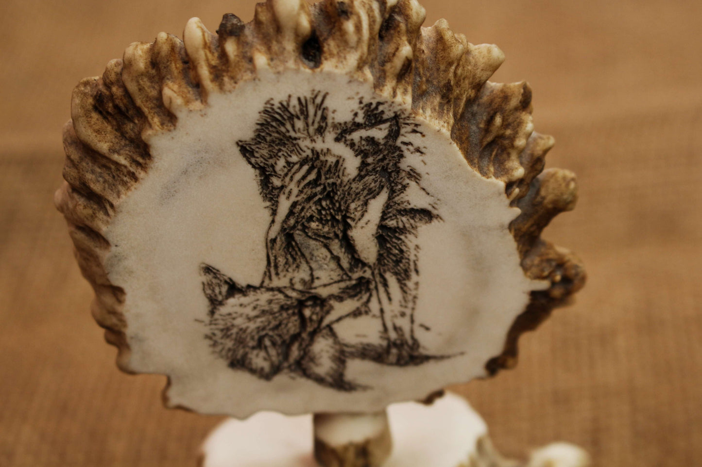 Unique Antler Home Decoration Piece