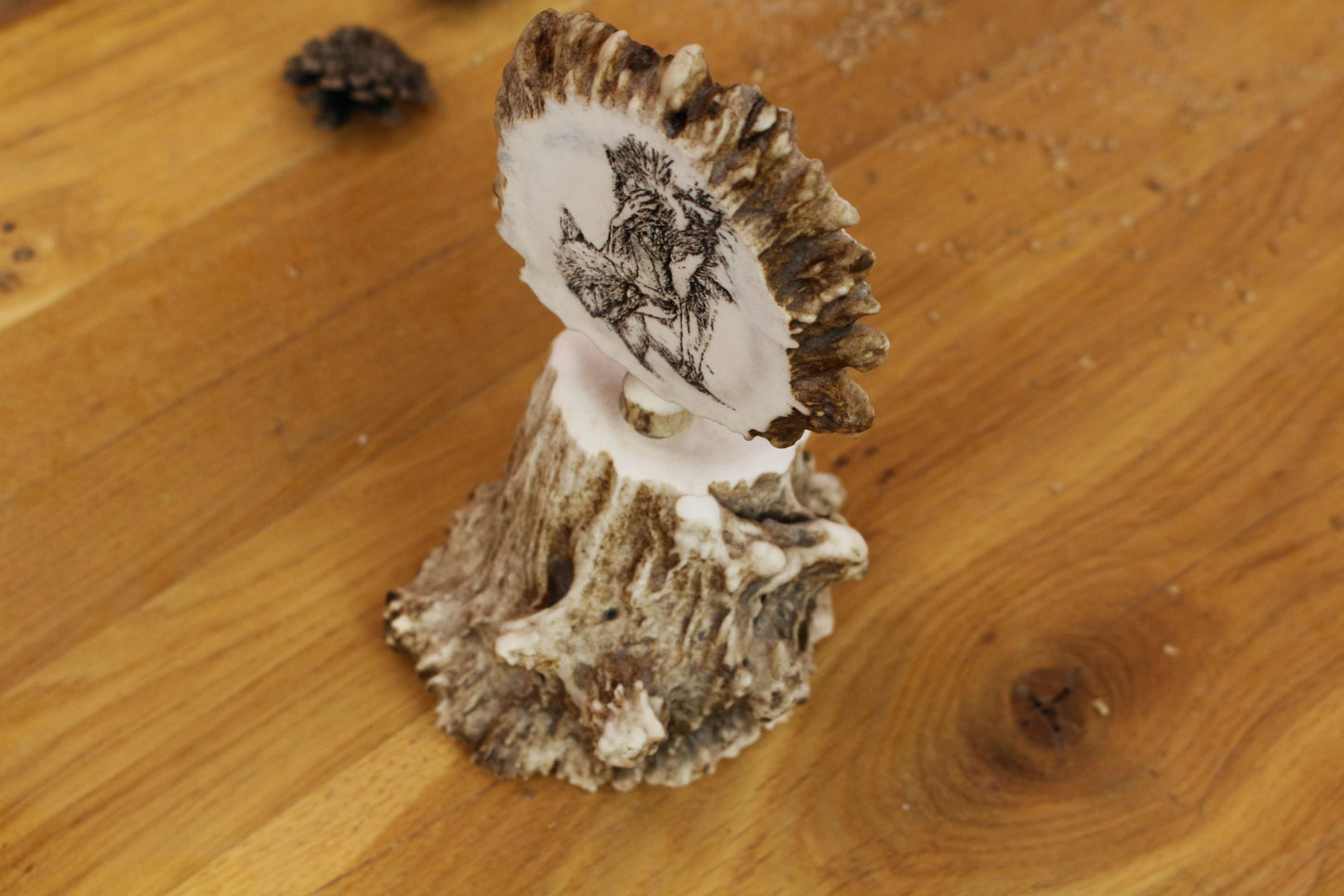 Unique Antler Home Decoration Piece