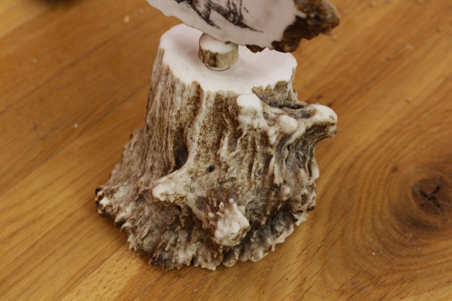 Unique Antler Home Decoration Piece