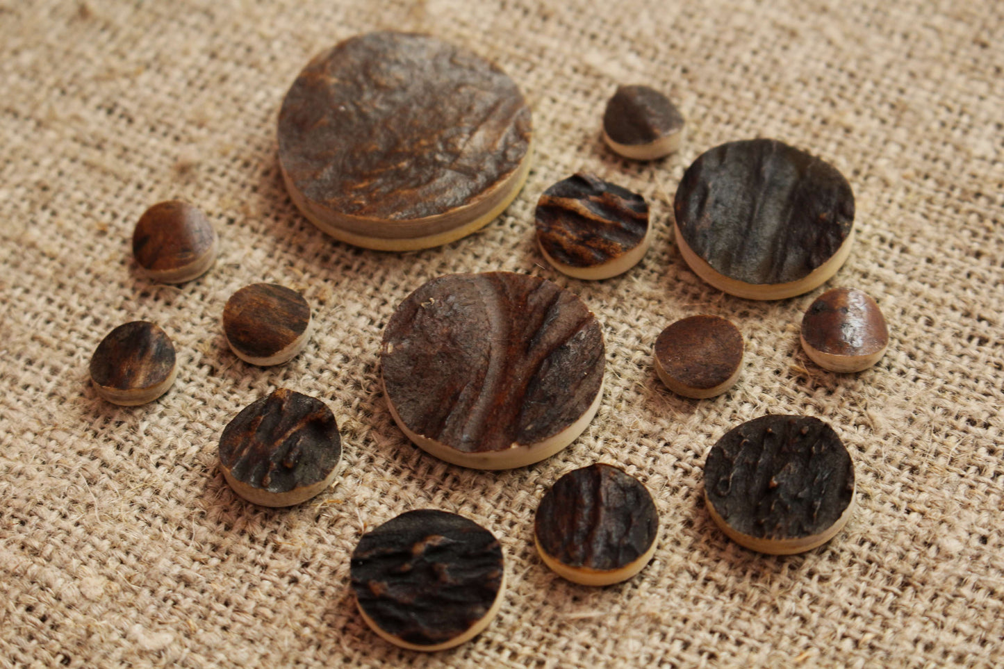 Deer Antler Sewing Buttons | Sewing Button Blanks