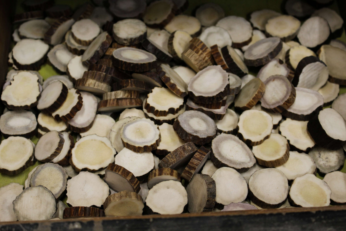 Moose Antler slices | Blanks for DYI 30 mm size
