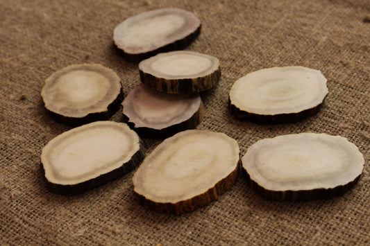 Moose Antler slices | Blanks for DYI 40 mm size