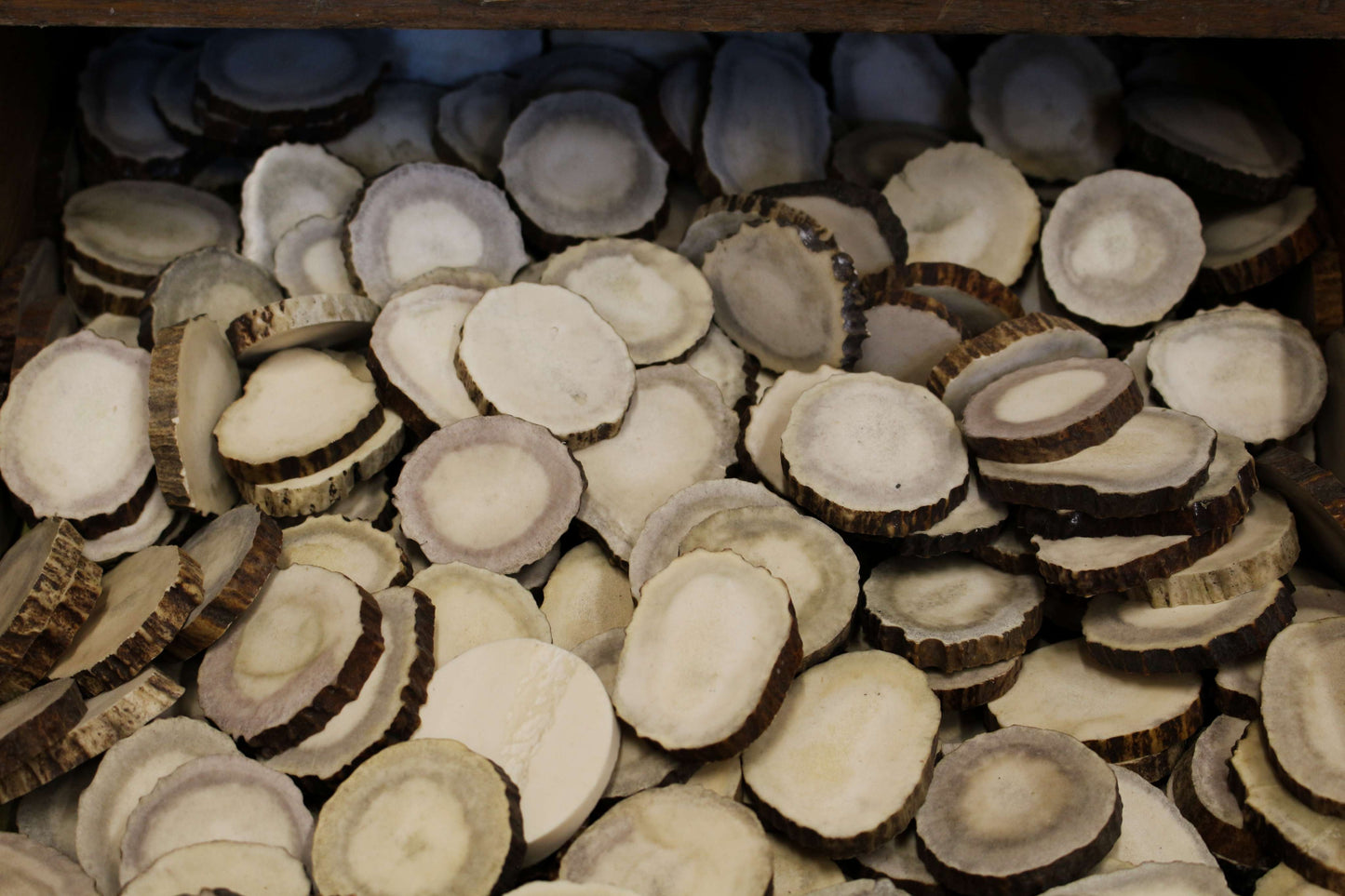Moose Antler slices | Blanks for DYI 40 mm size