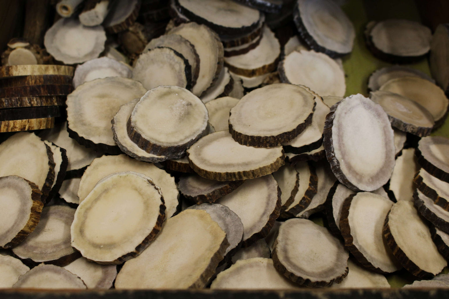 Moose Antler slices | Blanks for DYI 50 mm size