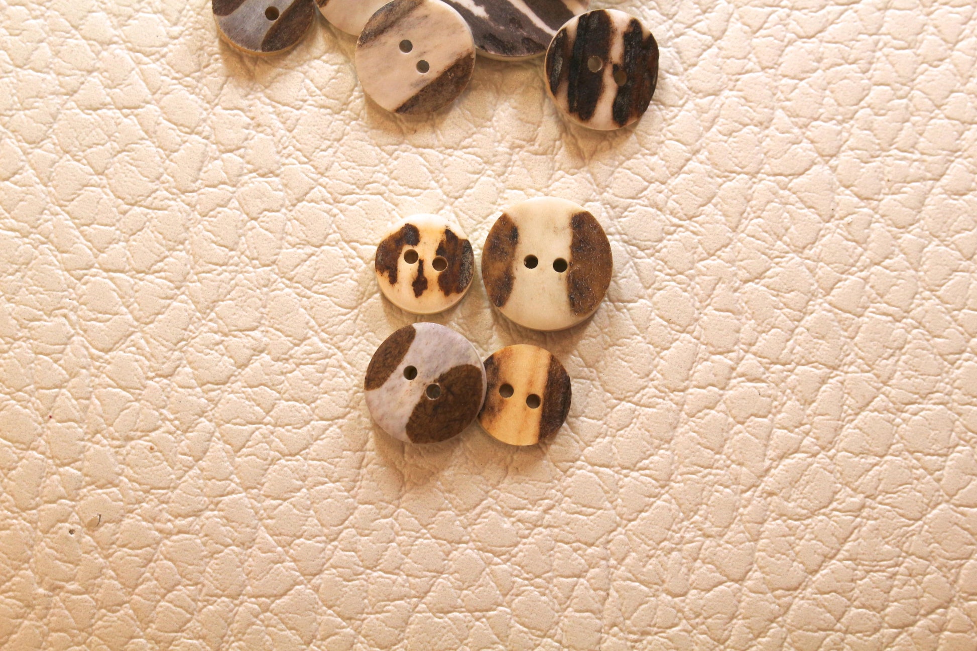 Deer Antler buttons model with polished middle