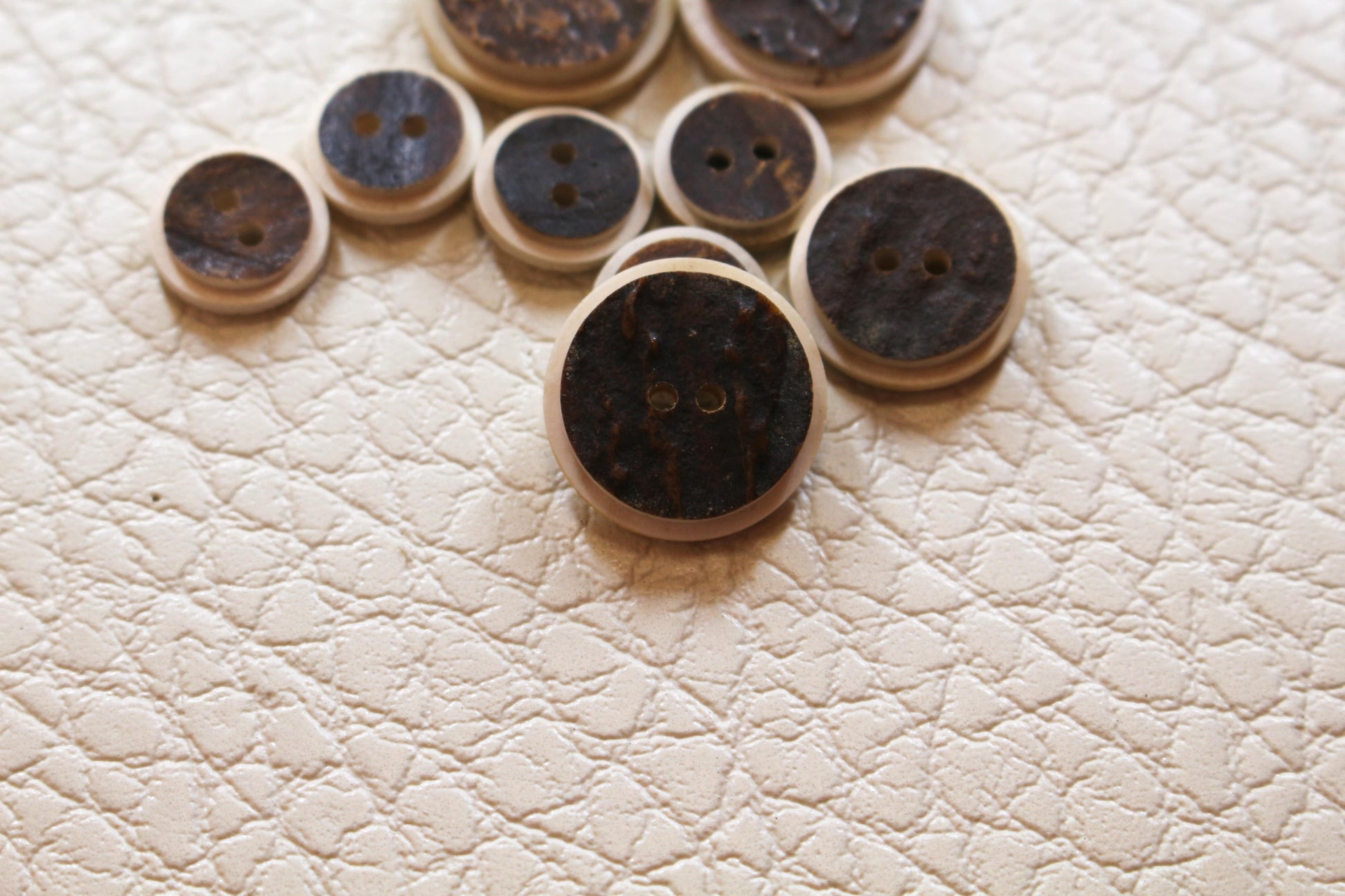 Deer Antler buttons, with cut off edges