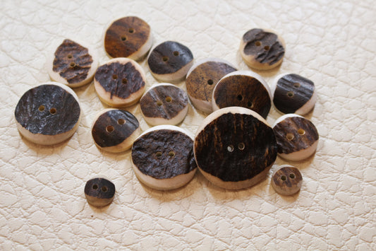 Deer Antler buttons, perfect for crafting and fashion projects