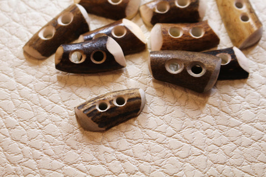 Deer antler tips cut in half