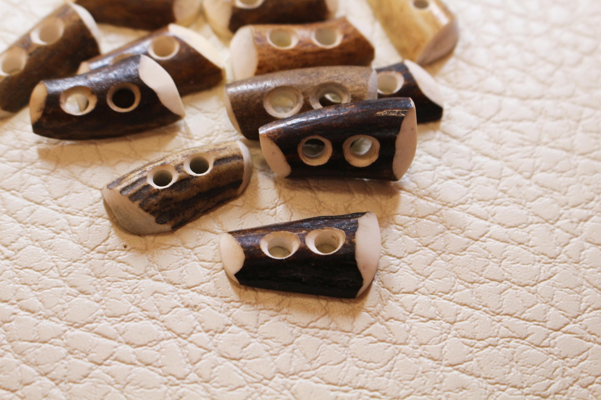 Deer antler tips cut in half different color pallets