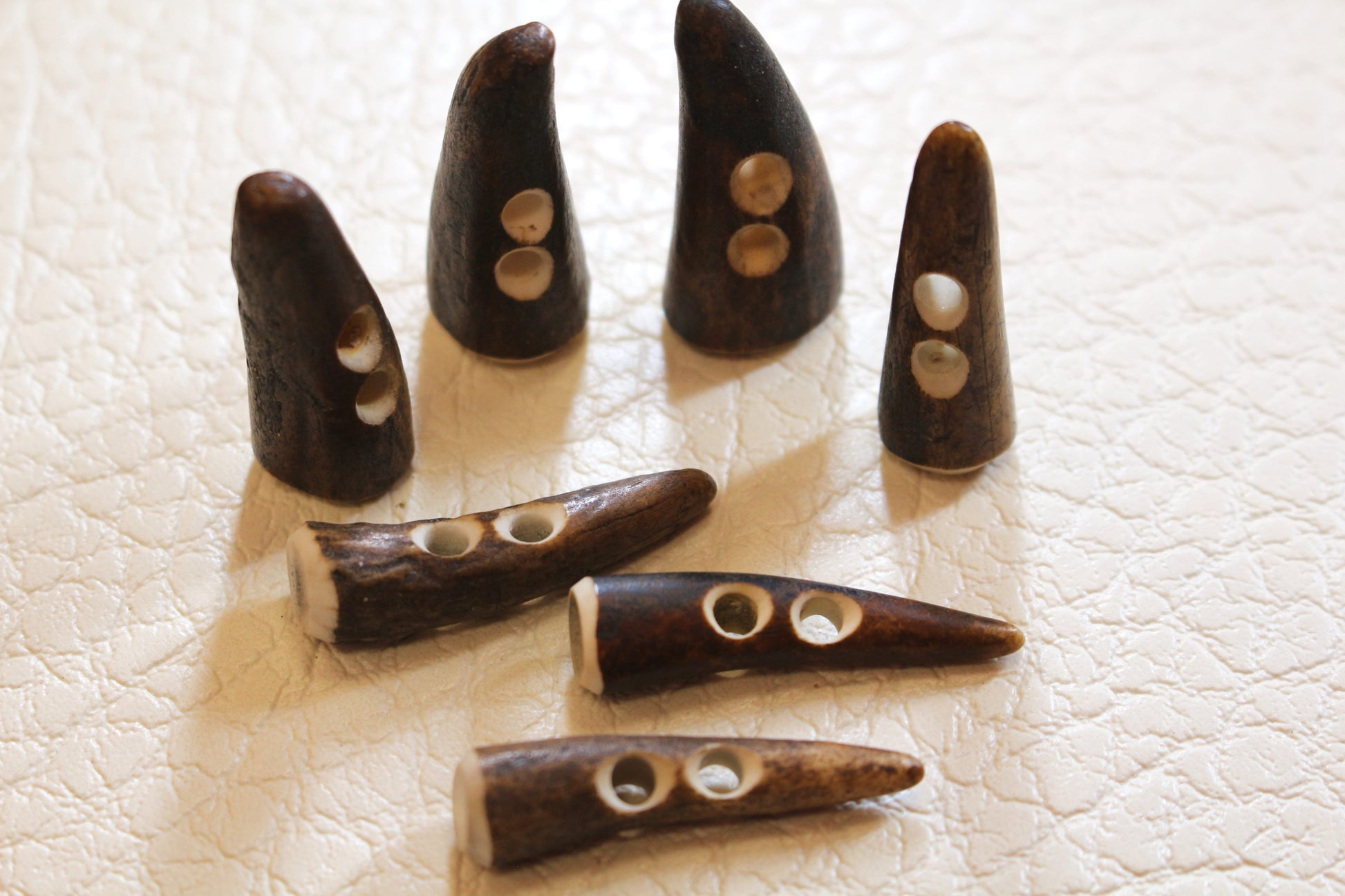 Deer antler tips size comparison