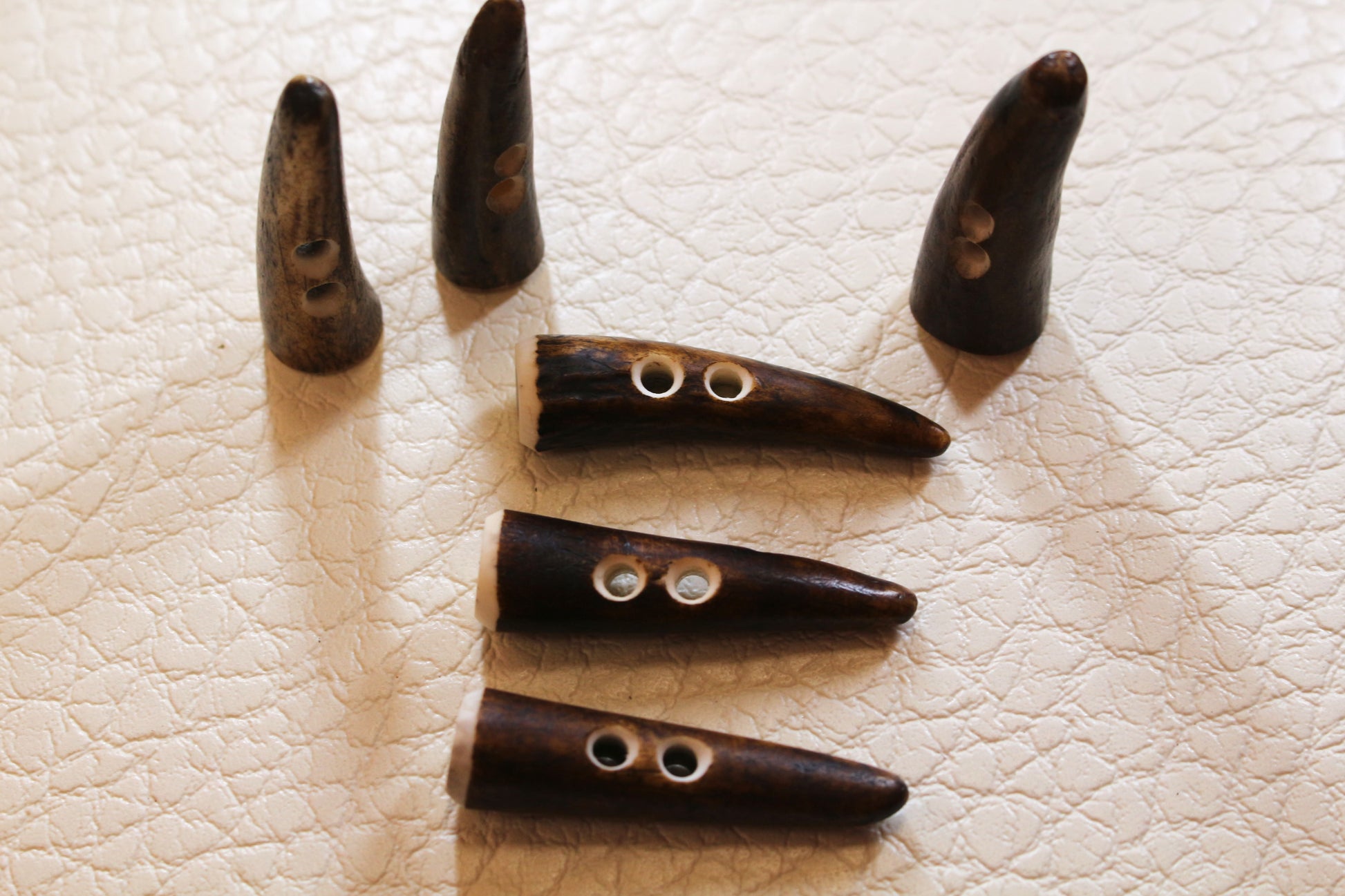 Deer antler tips in 50 mm size