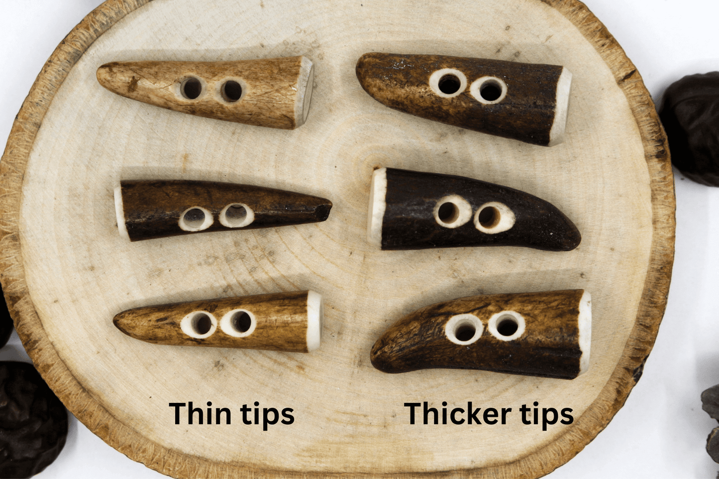 Deer antler tips both sizes