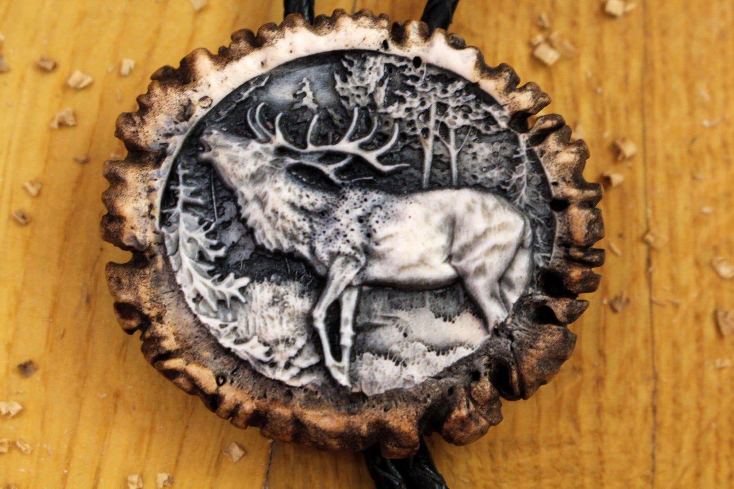 Close up picture of Deer Horn Bolo Tie design featuring the Roar of Deer