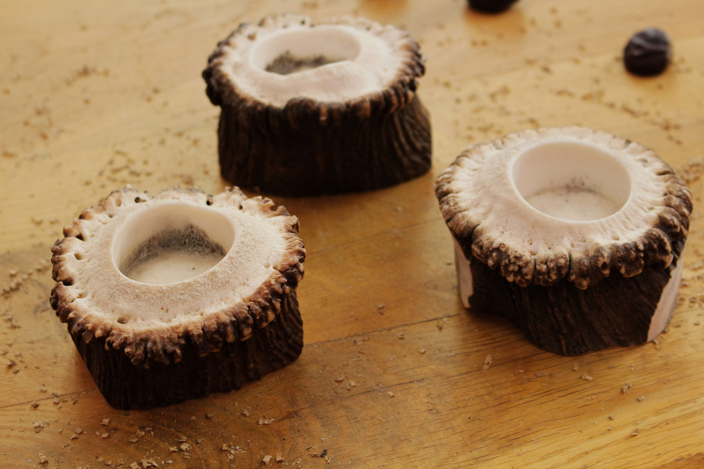 Simplistic Deer Antler Candle Holders