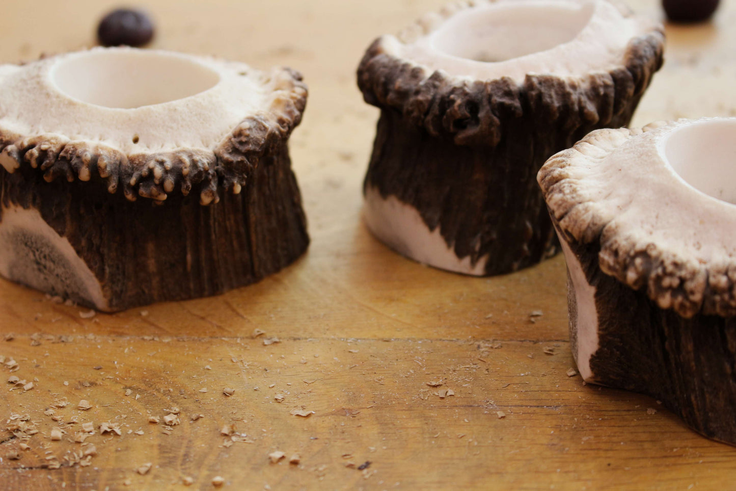 Simplistic Deer Antler Candle Holders