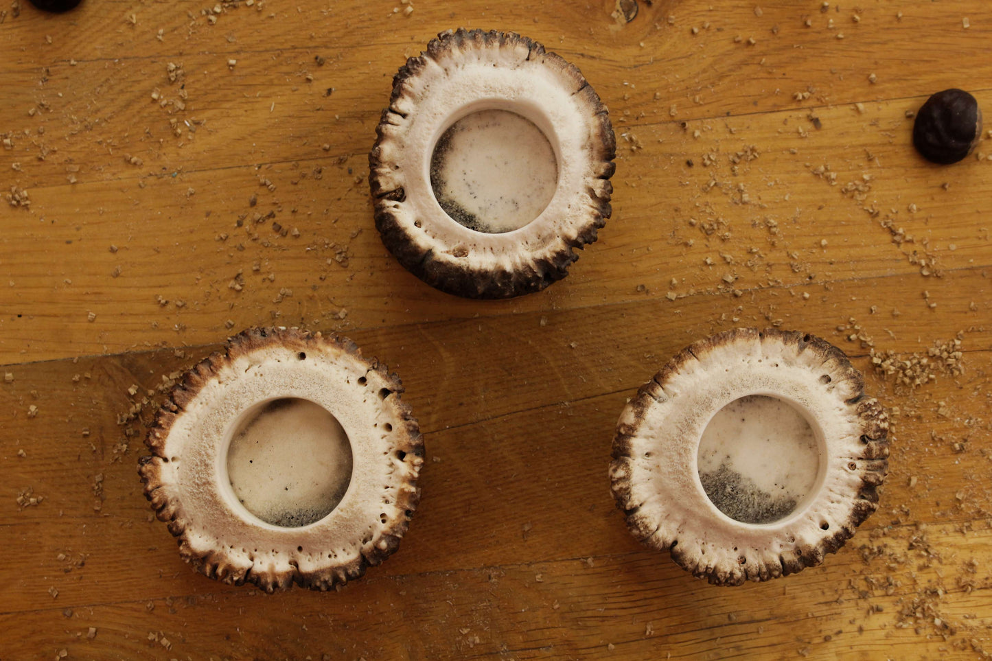 Simplistic Deer Antler Candle Holders