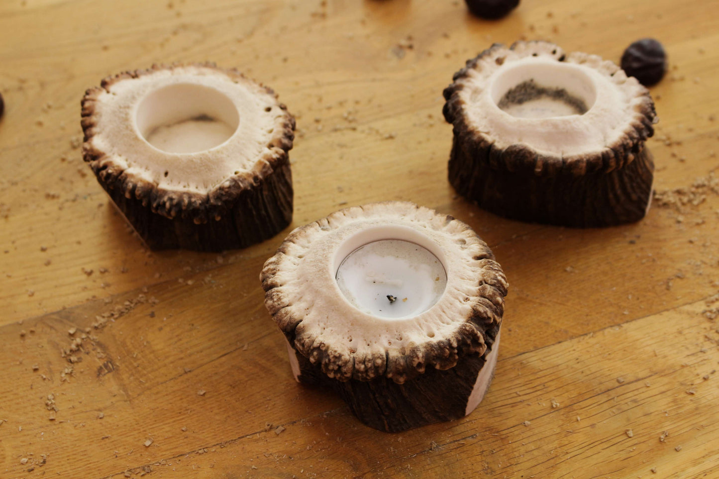 Simplistic Deer Antler Candle Holders