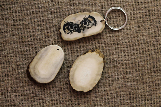Moose Antler keychain blank for DYI projects